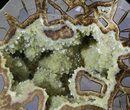 Calcite Crystal Filled Septarian Geode - Utah #33123-2